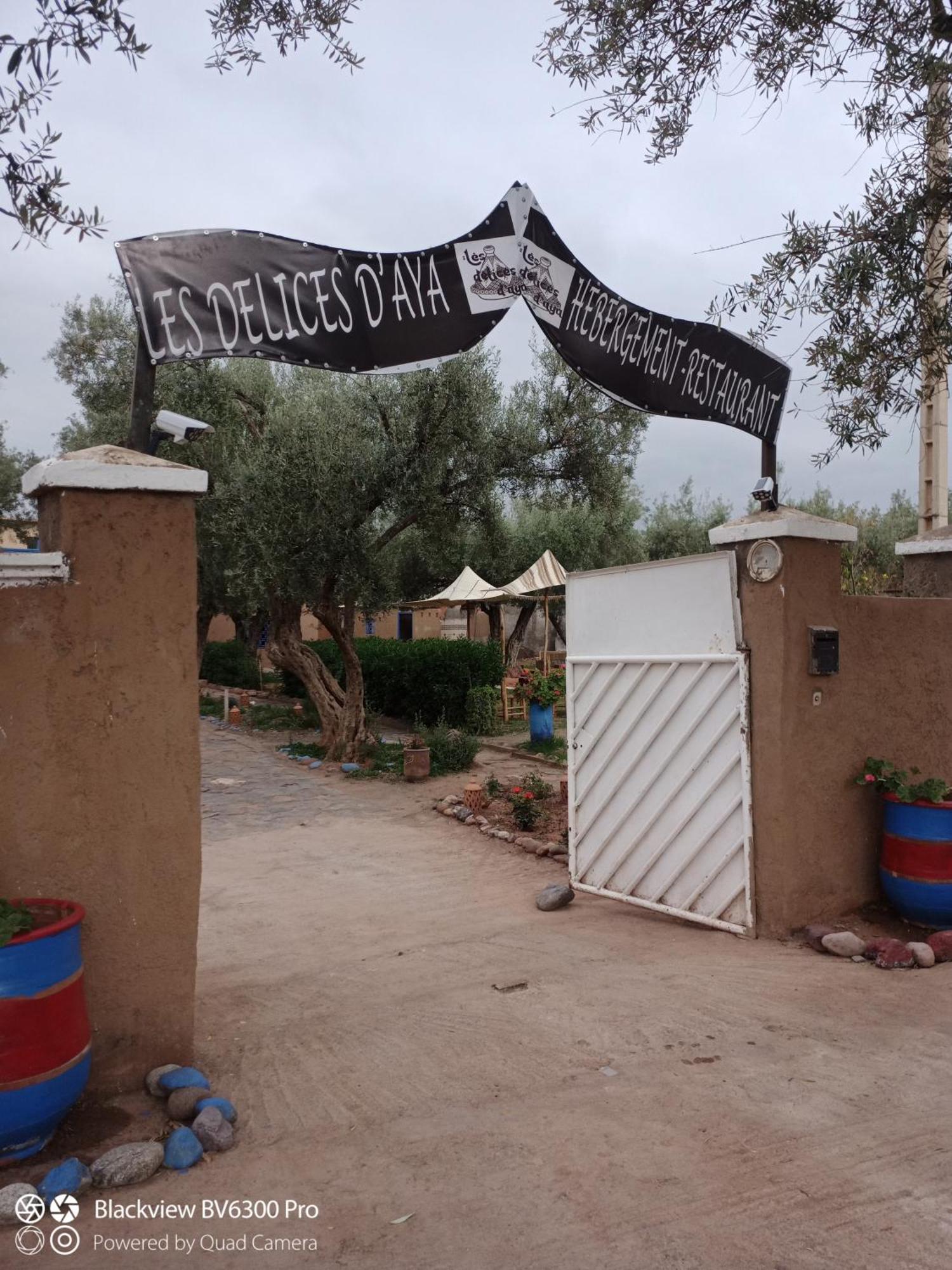 Les Delices D Aya Tahanaout